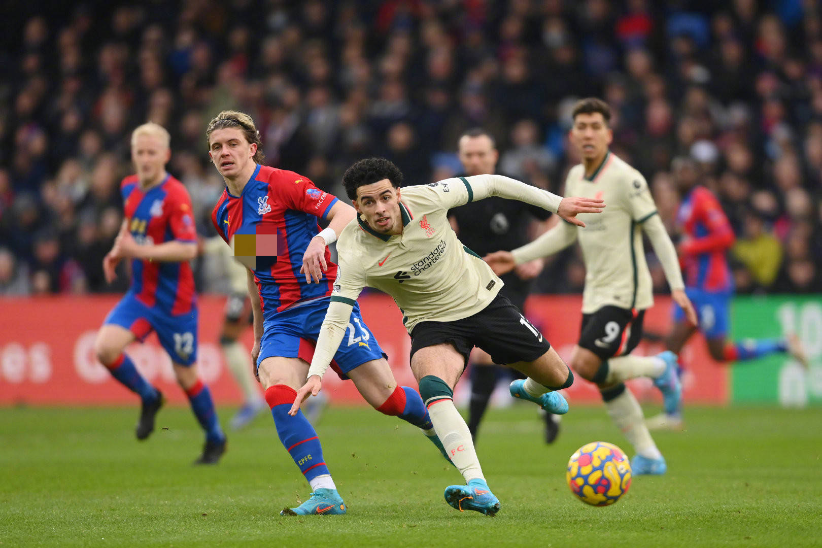 了票房收入 了票房收入